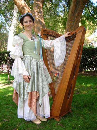 LEVER HARP lessons