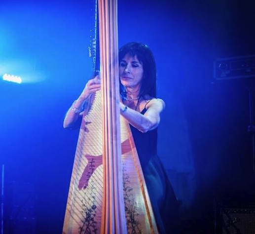 electric harp