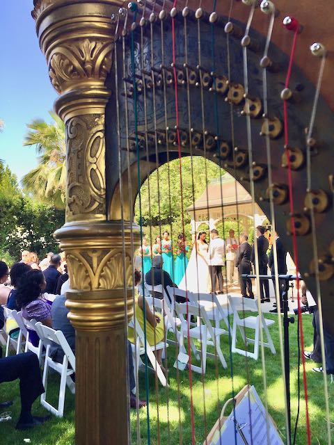 wedding