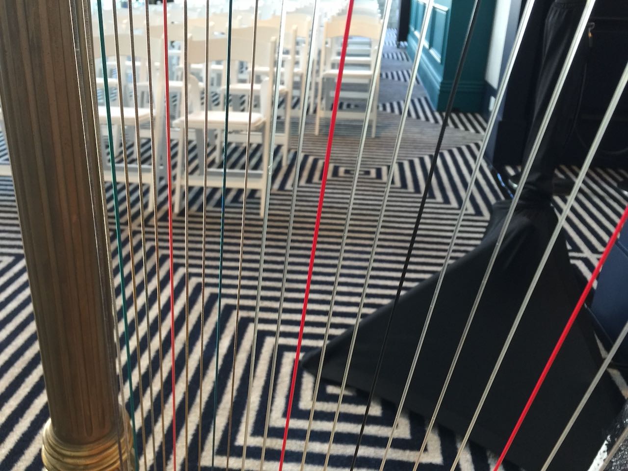 carpet & harp strings