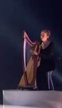 30 string harp