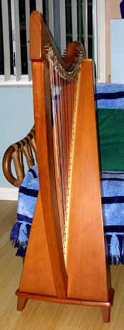 Triplett 30 string lever harp available for rent