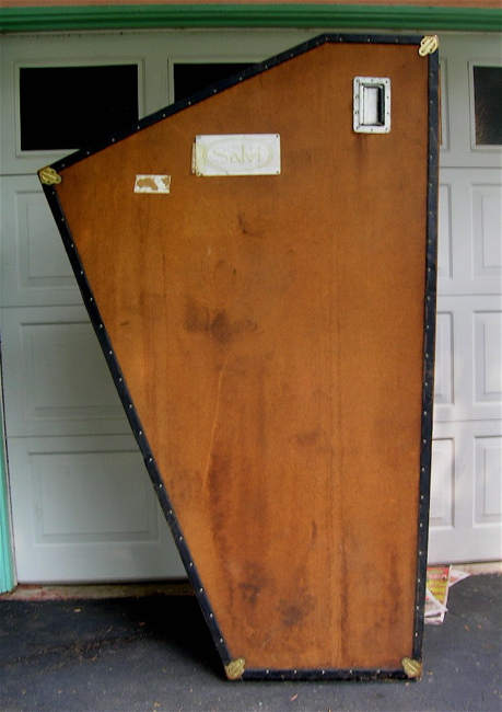 Salvi harp case