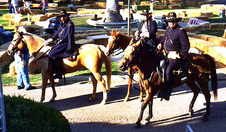 Cavalry officers