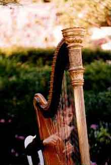 Stephanie Bennett plays harp at a wedding.